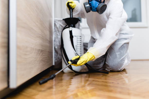 Best Local Pest Control Services  in Moss Beach, CA
