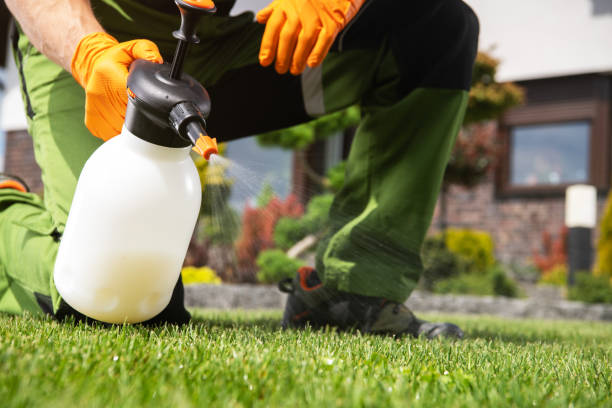Best Best Pest Control Companies  in Moss Beach, CA