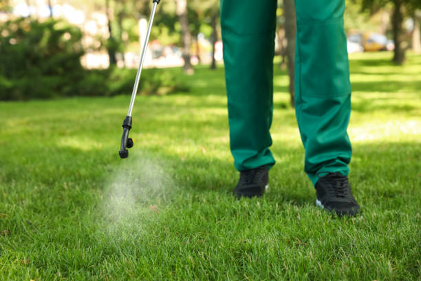 Pest Prevention Services in Moss Beach, CA