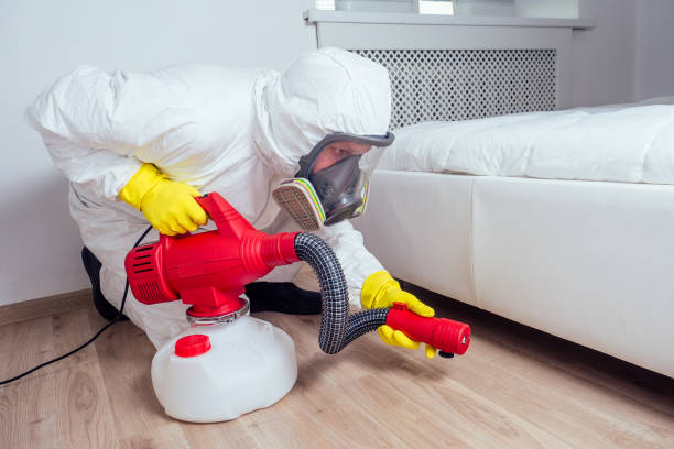 Wasp Removal Services in Moss Beach, CA