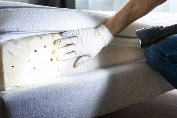 Best Affordable Pest Control Services  in Moss Beach, CA