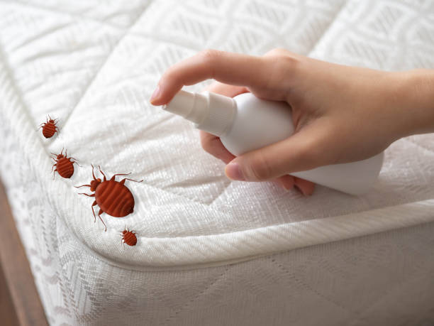 Professional Pest Control in Moss Beach, CA