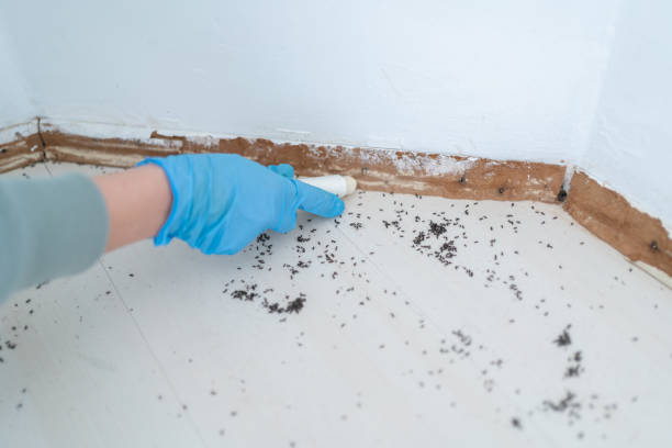 Best Pest Inspection Near Me  in Moss Beach, CA