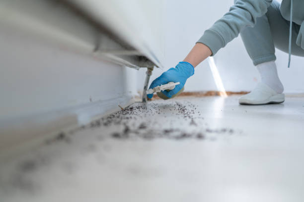 Best Exterminator Services  in Moss Beach, CA
