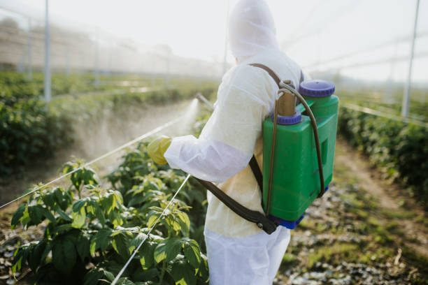 Best Best Pest Control Companies  in Moss Beach, CA